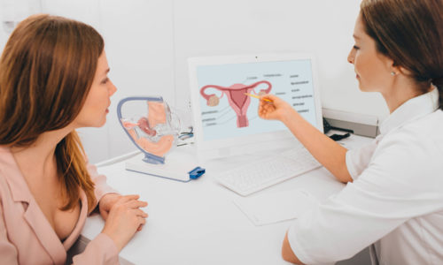 gynecologist communicates with her patient, pointing to the structure of the uterus, on her comput er.